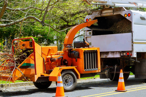 Best Utility Line Clearance  in Ladera Ranch, CA